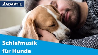 Schlafmusik für Hunde  Für die Extraportion Entspannung [upl. by Sakhuja]