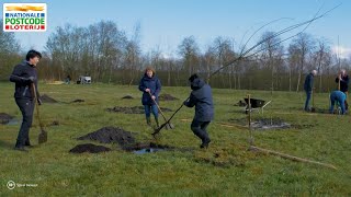 Natuur en Milieu  Plan Boom  Postcode Loterij [upl. by Anuahsat]