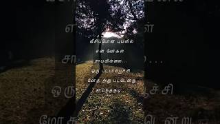 🌹Tamil music shorts Melliname melliname song🌹 [upl. by Isa]