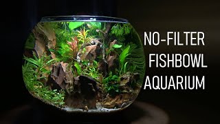 How To Set Up A FISHBOWL The RIGHT Way  No Filter  No Heater  Aquarium Setup [upl. by Aronoel]