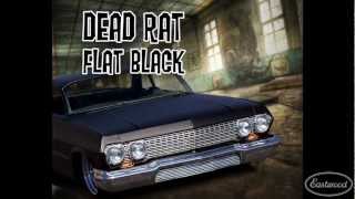 Flat Black  DEAD RAT Flat Black Paint from Eastwood [upl. by Romulus]