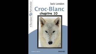 Chapitre 10  Croc Blanc de Jack London  version abrégée [upl. by Jago]