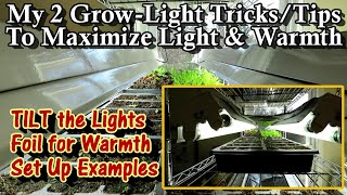 2 Tips to Maximize Light and Heat for Germinating Seeds Speed Up Germination amp Stop Legginess [upl. by Edny628]