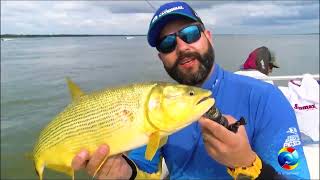 Programa Deconto Show de Pesca 30112024 quot Pescaria na Argentina quot [upl. by Lord]