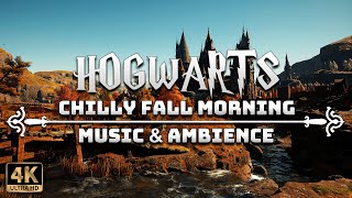 A Chilly Fall Morning at Hogwarts 🍁  4K Harry Potter Music amp Ambience [upl. by Butta]