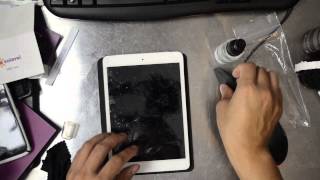 Apple iPad Mini ZAGG InvisibleSHIELD Installation Front and Back [upl. by Llertnek]