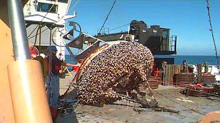 The Easiest Way To Remove Barnacles From Boats And Ships [upl. by Allets]