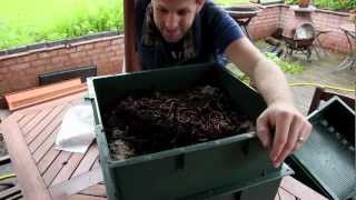 Wormcity Wormery Review  My composting little friends [upl. by Yale916]