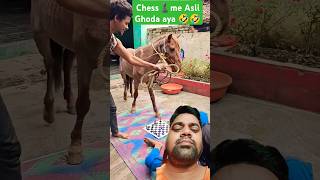 comedy chessman funny chessclub chesschampion freefire chessmaster chesstime dog puzzle [upl. by Jens791]