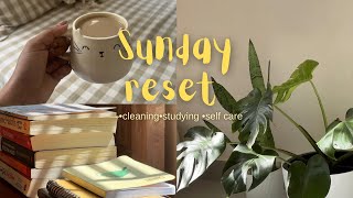 Vlog2  Sunday reset cleaning studying self care aesthetic productive dailyvlog minivlog [upl. by Thebazile779]