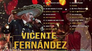 VICENTE FERNÁNDEZ MIX ROMANTICAS VIEJITAS PARA ADOLORIDOS  LO MEJOR DE VICENTE FERNÁNDEZ🎶 [upl. by Aitnauq]