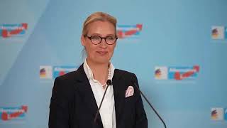 AFD Weidel Merz Scholz [upl. by Odrarej194]