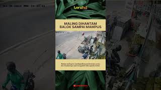 MALING TUMBANG DIHANTAM BALOK [upl. by Iegres]