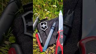 Victorinox knife sharpener amp Victorinox rangergrip 53 amp Olight i3t my edc [upl. by Nerissa645]