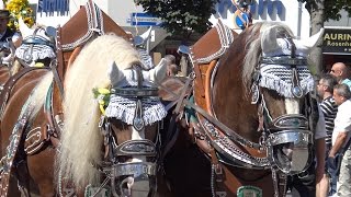 Herbstfest Rosenheim Festzug 27082016 v14 15 UHD [upl. by Angelika]