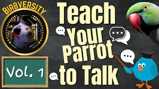 Birbversity Vol 1 Teach Your Parrot To Talk  Parrot Town TV for Your Bird Room [upl. by Latnahs]