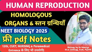 स्तन ग्रन्थियां Mammary GlandsNCERT HINDIHUMAN REPRODUCTION IN HINDI NEET BIOLOGY12th Biology [upl. by Ailero]