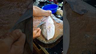 best indin leather jacket fish cutting shots video [upl. by Consalve]