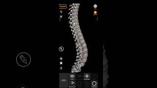 REVISÃO COLUNA VERTEBRAL [upl. by Uoliram]