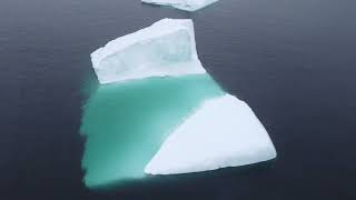 Twillingate Icebergs June 7th 2023 [upl. by Irim]