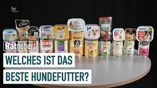 Hundefutter im Warentest Welches Nassfutter ist empfehlenswert  Die Ratgeber [upl. by Sinnal]