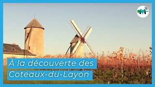 À la découverte des CoteauxduLayon [upl. by Idette]