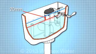 Water quality in your home  toilet cistern inlet and overflow [upl. by Efeek]