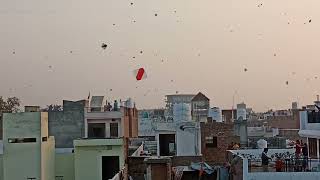 Basant panchmi 2k22 Bathindacinematic shotsbathinda basantpanchami kiteflying [upl. by Inek]