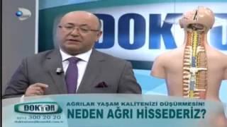 Neden ağrı hissederiz [upl. by Song669]