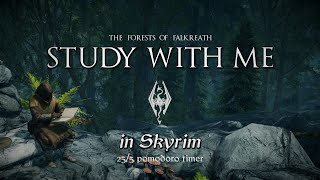 Study with Me in Skyrim  Forests of Falkreath  255 Pomodoro Timer 2hr 4K [upl. by Plank]