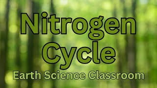 Detailing The Nitrogen Cycle [upl. by Wiebmer317]