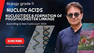 Nucleic Acid  Structure of Nucleotides  Phosphodiester Linkage  Bio Grade 11 2024  Federal board [upl. by Zined]