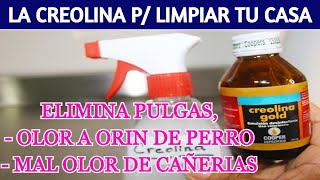 🌺 USOS DE LA CREOLINA para desinfectar y limpiar tu casa [upl. by Idner335]