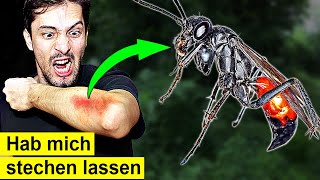 So heftig ist Deutschlands schmerzhaftester Insektenstich [upl. by Neelahtak]