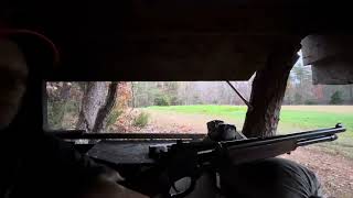 Henry 44 mag deer kill with skinner sights [upl. by Anaeirb]