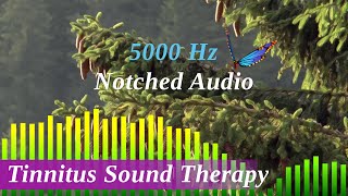 Tinnitus Sound Therapy Notched at 5000 Hz with Birds Water and Pink Noise Variable Sound [upl. by Rolyab786]