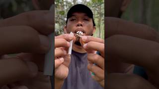 The guy shows SURVIVAL skills in the forest 🔥 camping survival bushcraft outdoors [upl. by Etnuaed]