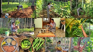 அவகேடோ🥑 இரம்புட்டான் 🌽சோள சந்தவைனு ஒரு புது விதமான அனுபவம்Vegetable harvsetingplanting new trees [upl. by Nomed621]