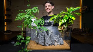 Definitive Guide to Growing Houseplants in an Aquarium [upl. by Garett]