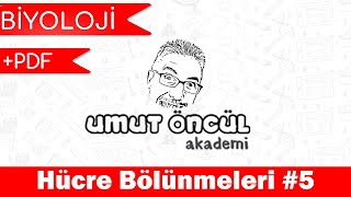 Biyoloji  TYT  Hücre Bölünmeleri 5  PDF [upl. by Bach816]