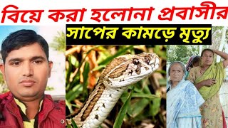 সাপের কামড়ে প্রাণ গেল প্রবাসীর  সাপ  রাসেল ভাইপার  Russells viper  Russell viper bite effect [upl. by Petronille]