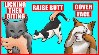 Real Meanings Behind 9 Strange Cat Behaviors Explained [upl. by Suzetta]