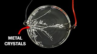 Using electricity to grow metal crystals [upl. by Gonyea]