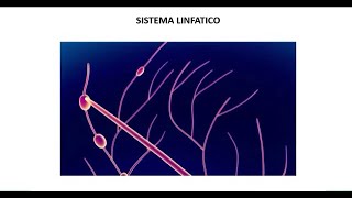 Rehabilitación post mastectomía radical linfedema dolor neuropático [upl. by Aivata]