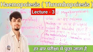 haemopoiesis notes  thrombopoiesis in hindi  thrombopoiesis notes thrombocytes [upl. by Mamoun499]