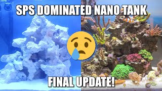 SPS Dominated Nano Reef Tank  Final Update [upl. by Cosenza167]