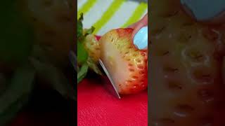 FRESAS CON CREMA 🍓deliciosas y muy fáciles de preparar COMIARTE 2023 fresas [upl. by Gaskin795]