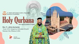 Holy Qurbana  Rev Fr Jithin zachariah  St Marys Orthodox Church Mallassery  AUGEN LIVE [upl. by Win889]