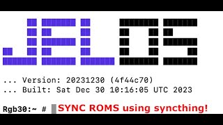 Sync your Retro Game ROMS collection using Syncthing and JELOS  RGB30 [upl. by Launcelot]