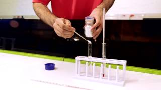 demonstration of exothermic and endothermic reactions [upl. by Peti789]